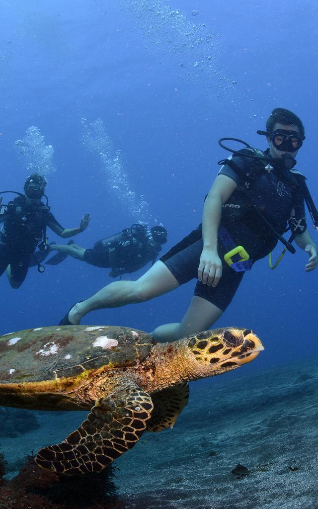 plongee sous marine haouaria