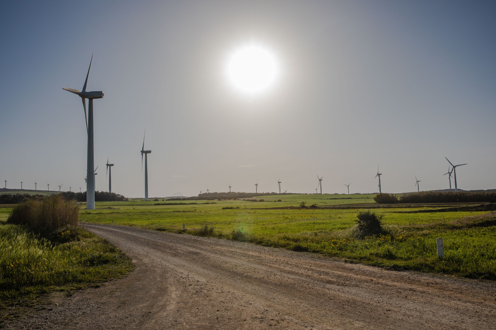 piste randonnée haouaria